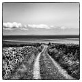 P1000912-Modifier
