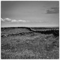 P1000930-Modifier