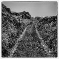 P1000954-Modifier