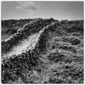 P1000957-Modifier