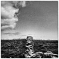 P1000959-Modifier