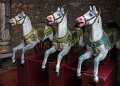 P1000352-2