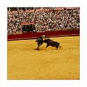 sev_1641